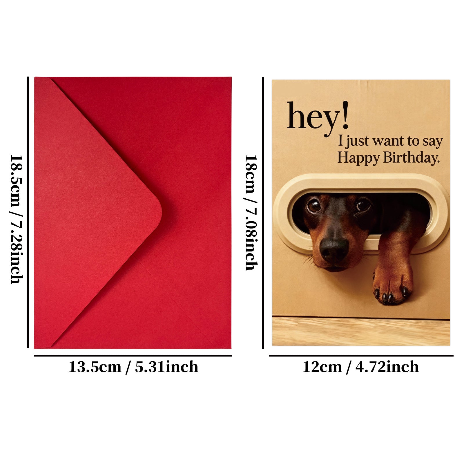 Cute Peeking Animal Happy Birthday Greeting Card