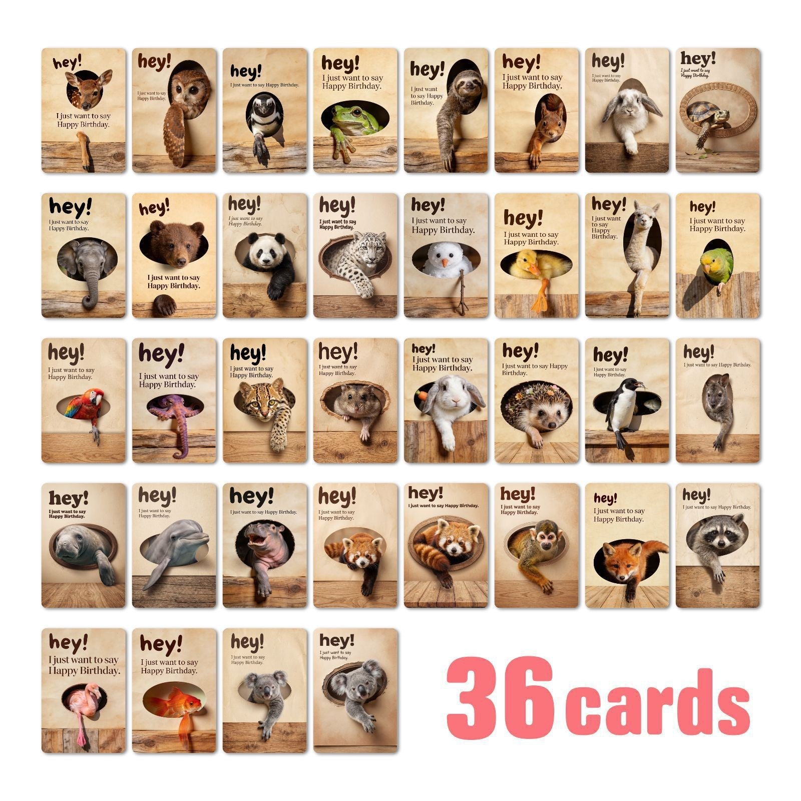 Cute Peeking Animal Happy Birthday Greeting Card