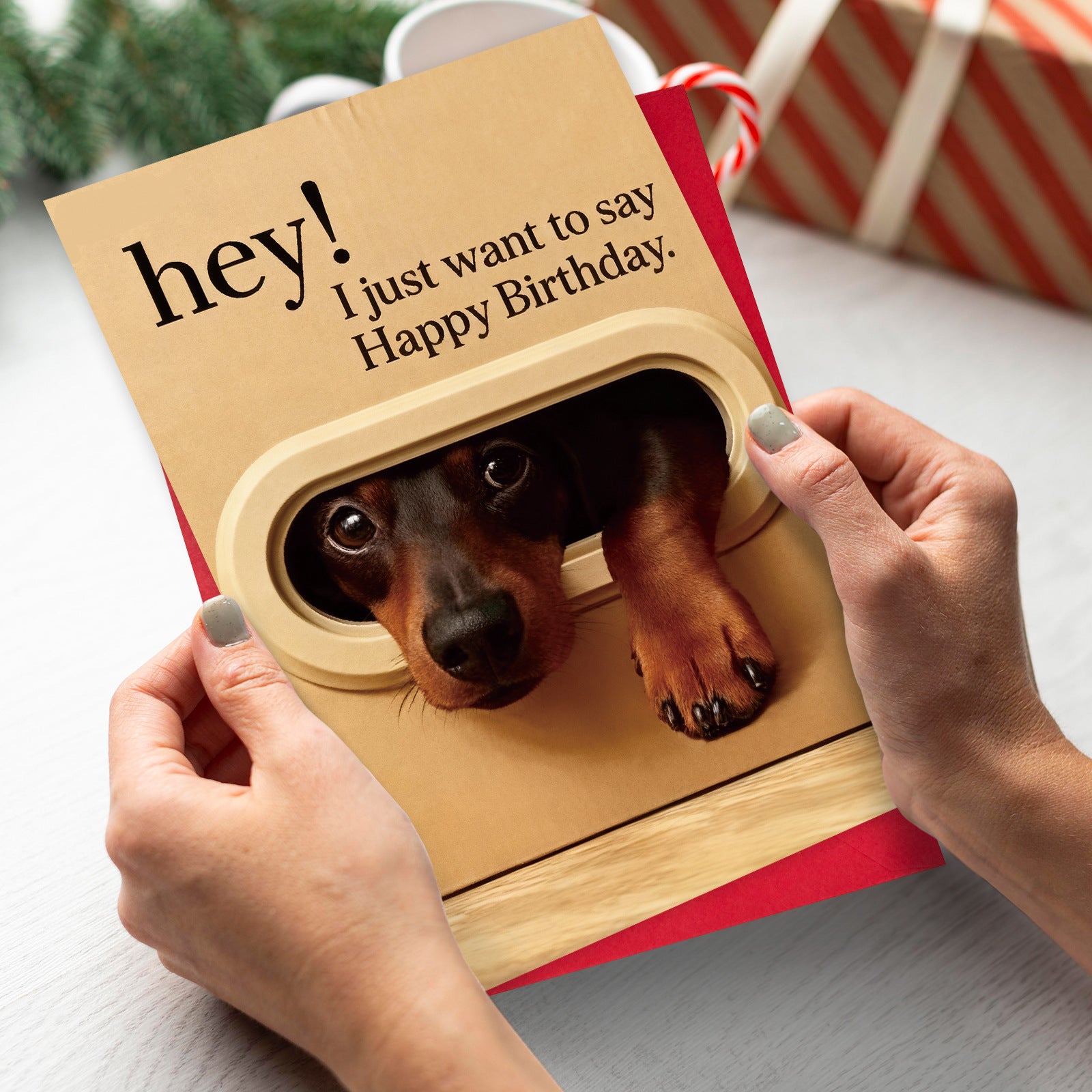 Cute Peeking Animal Happy Birthday Greeting Card