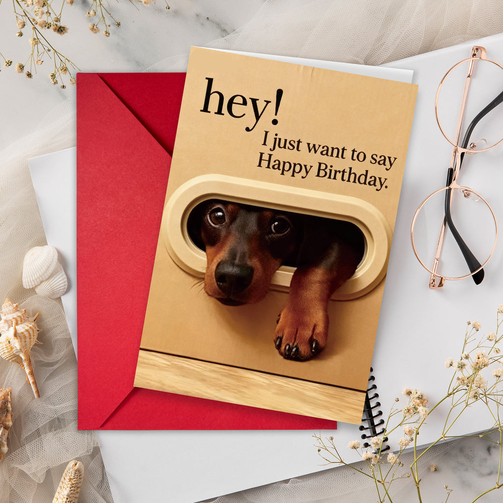 Cute Peeking Animal Happy Birthday Greeting Card